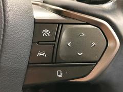 �ڥ졼�������롼������ȥ�����۹�®ƻϩ�Ǥ�Ĺ��Υ���Ԥ��ڤˡ�����ư��®�٤��ݤĥ��롼������ȥ����뤬�����ͷڸ������ƥ��Ϣ�Ȥ��������μ�ξ���Τ��Ƽִ֤��ݤĤ褦��®��Ĵ�ᤷ�Ƥ���ޤ����� 5