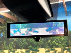 �ڥ���ƥꥸ����ȥ롼��ߥ顼�۸��ʤ��礭�ʲ�ʪ��Ʊ��ԤǸ�������ǧ���Ť餤���Ǥ�¿�������餬���Ƥ�����ξ�����α�����롼��ߥ顼���ɽ�������ꥢ�ʻ볦�Ǿ����γ�ǧ����ǽ�Ǥ��� 6