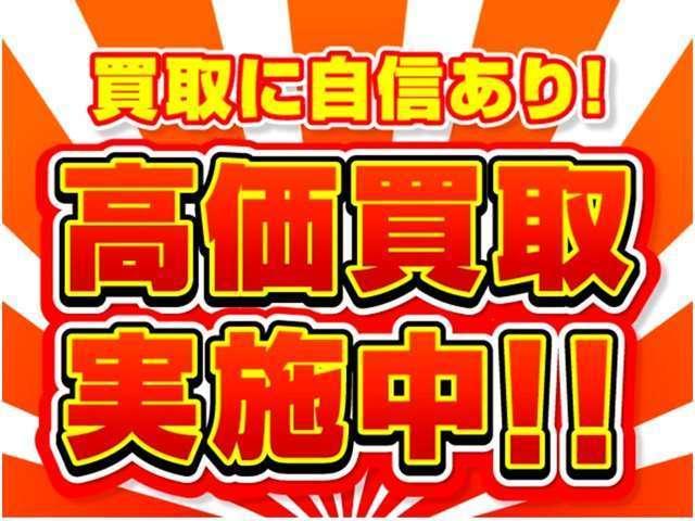 アルファード ２．５Ｓ　Ｃパッケージ　車検整備付　ＪＢＬプレミアムサウンド　サンルーフ　Ｔコネクト１０．５型ナビＴＶ　１３．３型リアエンターテイメント　アラウンドビュー　デジタルインナーミラー　セーフティセンス　パワーバックドア　ドラレコ（36枚目）