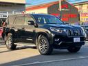 TZ-G 禁煙車 4WD 純正ナビ フルセグTV 全周囲カメラ ドライブレコーダー ETC2.0 オートエアコン スマートキー LEDヘッドライト 衝突被害軽減ブレーキ シートベンチレーション パワーシート(38枚目)