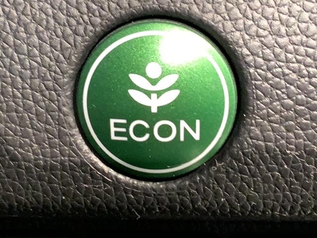 フィットハイブリッド Ｓパッケージ　あんしんＰＫＧ　１年保証　ワンオーナー　純正ナビ　ＴＶ　Ｒカメラ　ＢＴオ－ディオ　ＤＶＤ　ドラレコ　ＥＴＣ　ＬＥＤライト　ＶＳＡ　クルコン　アルミ　フォグ　スマートキー　盗難防止装置　整備記録簿（16枚目）