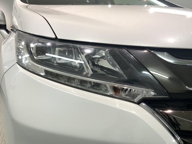 �k�d�c�w�b�h���C�g�́A�_���̏u�Ԃ���ő���ʂ𔭊����A�ˑR�Â��Ȃ�g���l���Ȃǂł̈��芴�����߂܂��B