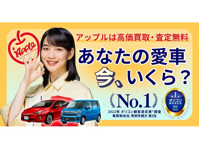 アルトラパン 10thアニバーサリーリミテッド ナビ バックモニター スマートキー2個 シートヒーター(45枚目)