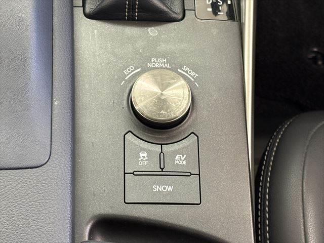 ＩＳ ＩＳ３００ｈ　サンルーフ　禁煙車　純正ＳＤナビ　バックカメラ　ハーフレザーシート　ＬＥＤヘッドライト　フルセグ　衝突軽減ブレーキ　Ｂｌｕｅｔｏｏｔｈ　ＥＴＣ２．０　ミュージックサーバー　レーダークルーズコントロール（40枚目）