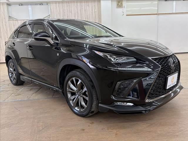 ＮＸ ＮＸ３００ｈ　Ｆスポーツ　ガラスルーフ　純正ＳＤナビ　全方位カメラ　本革シート　電動リアゲート　純正フルエアロ　ＬＥＤヘッドライト　フルセグＴＶ　レーダークルーズコントロール　衝突軽減ブレーキ　シートエアコン（16枚目）