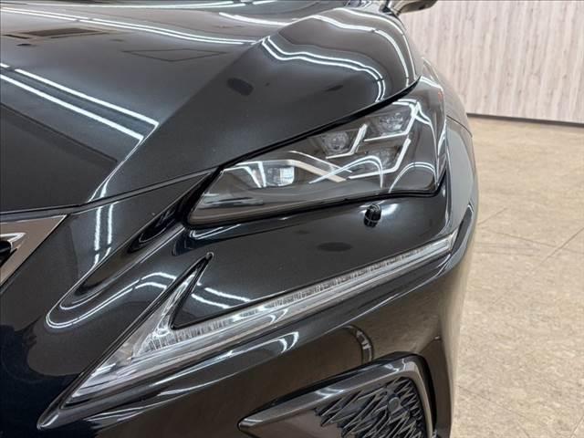 ＮＸ ＮＸ３００ｈ　Ｆスポーツ　ガラスルーフ　純正ＳＤナビ　全方位カメラ　本革シート　電動リアゲート　純正フルエアロ　ＬＥＤヘッドライト　フルセグＴＶ　レーダークルーズコントロール　衝突軽減ブレーキ　シートエアコン（22枚目）