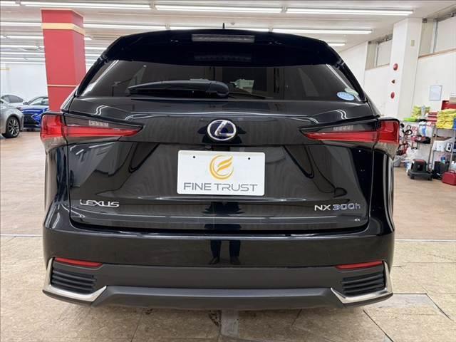 ＮＸ ＮＸ３００ｈ　バージョンＬ　禁煙車　３眼ＬＥＤヘッドライト　パワーバックドア　純正ＳＤナビ　ＵＳＢポート　ブルートゥース　衝突軽減ブレーキ　本革シート　レーダークルーズコントロール　バックカメラ　シートヒーター　シートエアコン（19枚目）