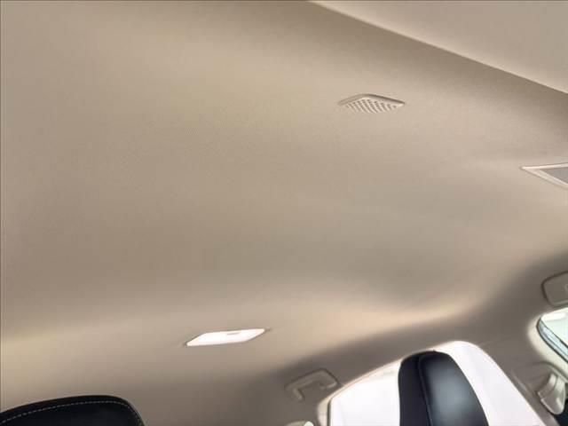 ＮＸ ＮＸ３００ｈ　バージョンＬ　禁煙車　３眼ＬＥＤヘッドライト　パワーバックドア　純正ＳＤナビ　ＵＳＢポート　ブルートゥース　衝突軽減ブレーキ　本革シート　レーダークルーズコントロール　バックカメラ　シートヒーター　シートエアコン（54枚目）