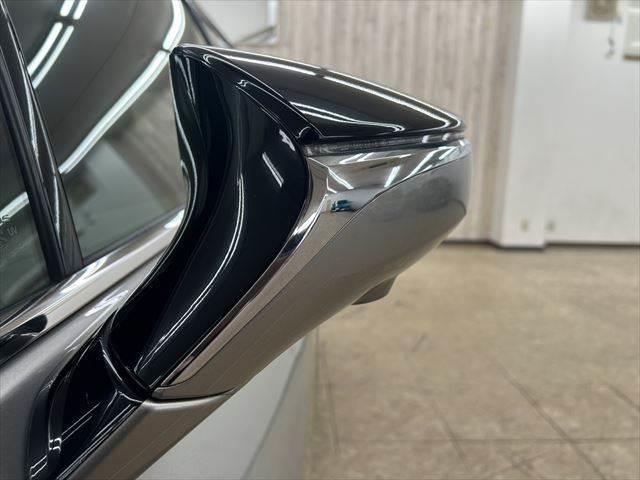 ＵＸ ＵＸ２５０ｈ　バージョンＬ　サンルーフ　本革シート　シートヒーター　シートエアコン　純正１０．３インチナビ　レーダークルーズコントロール　３眼ＬＥＤヘッドライト　衝突軽減ブレーキ　Ｂｌｕｅｔｏｏｔｈ　パワーシート　全周囲カメラ（28枚目）