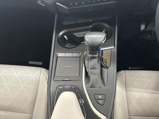 ＵＸ ＵＸ２５０ｈ　バージョンＬ　サンルーフ　本革シート　シートヒーター　シートエアコン　純正１０．３インチナビ　レーダークルーズコントロール　３眼ＬＥＤヘッドライト　衝突軽減ブレーキ　Ｂｌｕｅｔｏｏｔｈ　パワーシート　全周囲カメラ（39枚目）