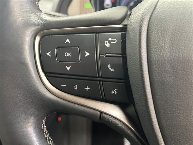 ＵＸ ＵＸ２５０ｈ　バージョンＬ　サンルーフ　本革シート　シートヒーター　シートエアコン　純正１０．３インチナビ　レーダークルーズコントロール　３眼ＬＥＤヘッドライト　衝突軽減ブレーキ　Ｂｌｕｅｔｏｏｔｈ　パワーシート　全周囲カメラ（41枚目）