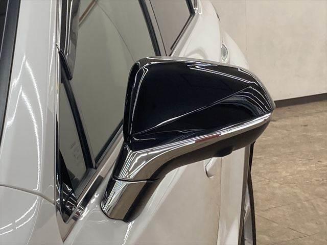 NX NX300h “version L” ガラスルーフ 純正ナビ 本革 全方位カメラ(28枚目)