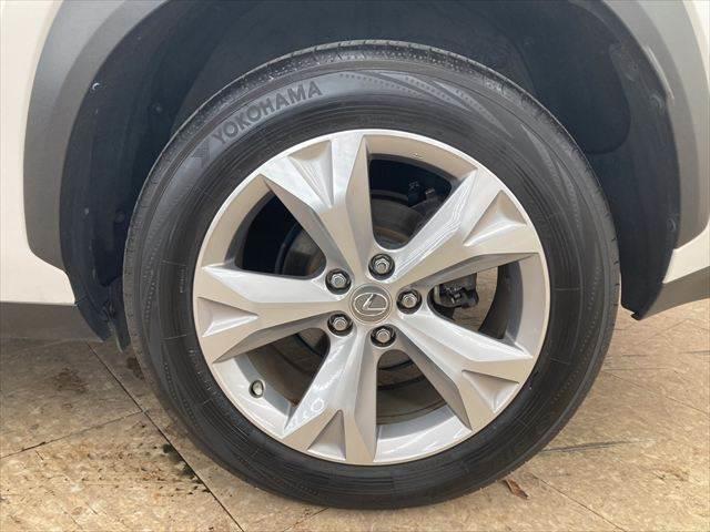 NX NX300h “version L” ガラスルーフ 純正ナビ 本革 全方位カメラ(32枚目)