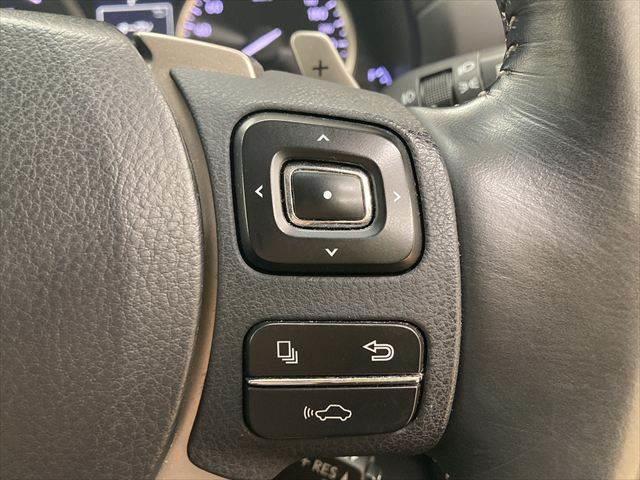 NX NX300h “version L” ガラスルーフ 純正ナビ 本革 全方位カメラ(39枚目)