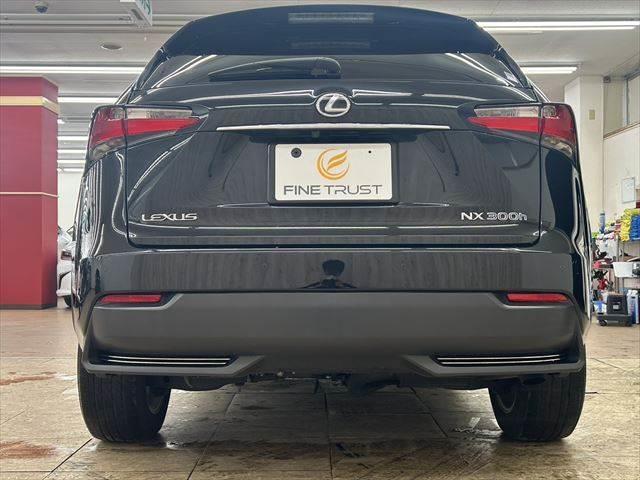 ＮＸ ＮＸ３００ｈ　Ｉパッケージ　ステアリングヒーター　３眼ＬＥＤヘッドライト　衝突軽減ブレーキ　禁煙車　純正ＳＤナビ　サイドカメラ　バックカメラ　レーダークルーズコントロール　シートヒーター　パワーシート　クリアランスソナー（18枚目）