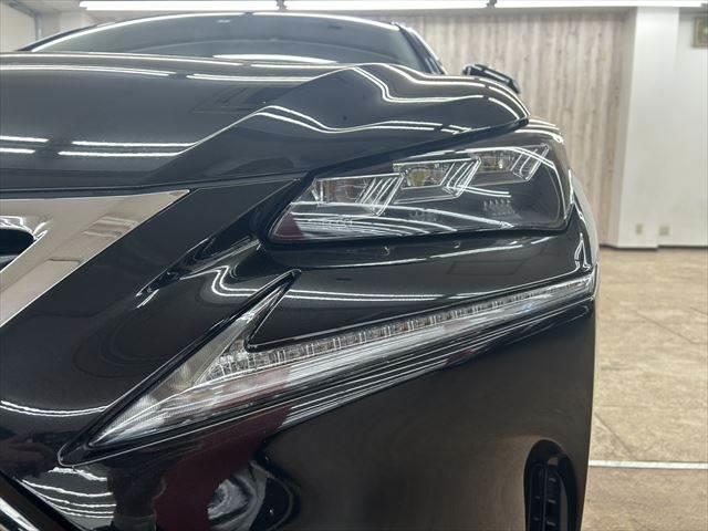 ＮＸ ＮＸ３００ｈ　Ｉパッケージ　ステアリングヒーター　３眼ＬＥＤヘッドライト　衝突軽減ブレーキ　禁煙車　純正ＳＤナビ　サイドカメラ　バックカメラ　レーダークルーズコントロール　シートヒーター　パワーシート　クリアランスソナー（22枚目）