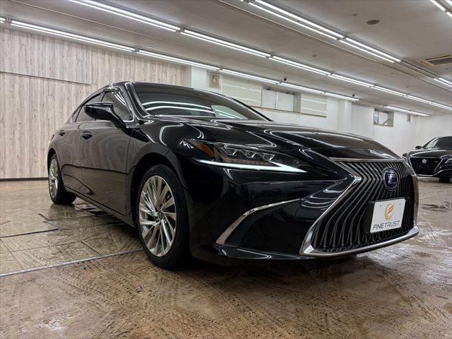 ＥＳ ＥＳ３００ｈ　バージョンＬ　禁煙車　サンルーフ　全方位カメラ　本革シート　三眼ＬＥＤヘッドライト　純正１２．３インチメモリーナビ　フルセグＴＶ　Ｂｌｕｅｔｏｏｔｈ　ステアリングヒーター　ヘッドアップディスプレイ　シートエアコン（15枚目）