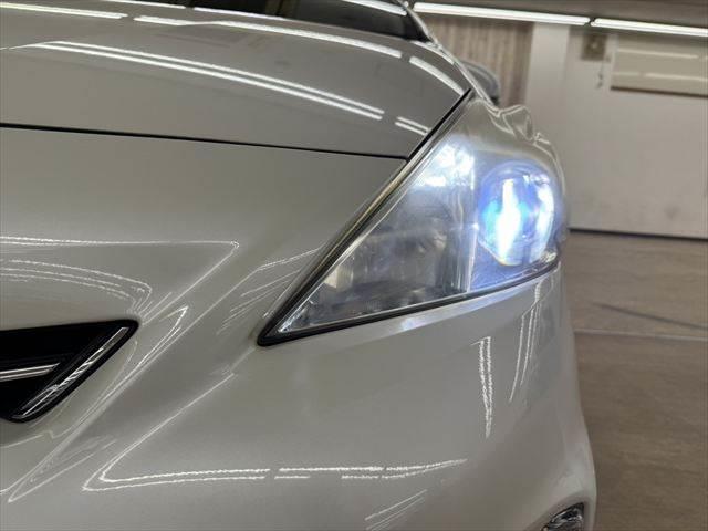 ���_�����w�b�h���C�g