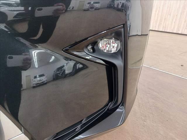 ���t�H�O�����v