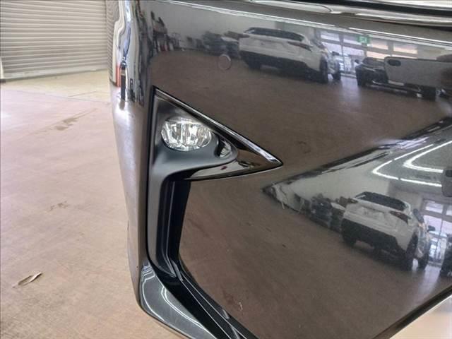 ���t�H�O�����v