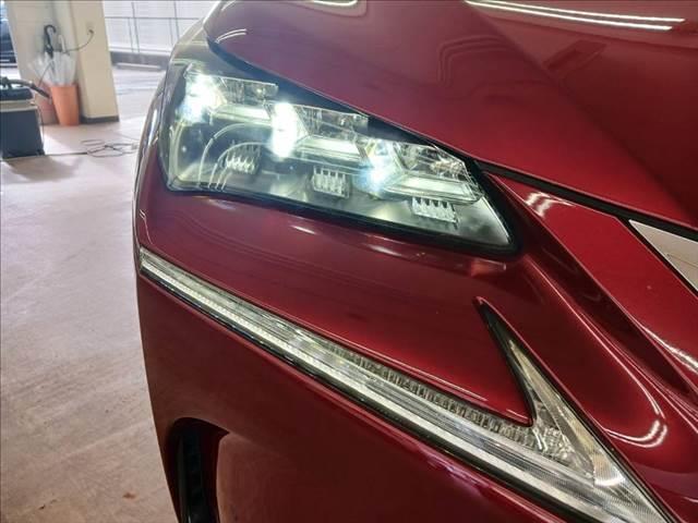 ���_�����w�b�h���C�g