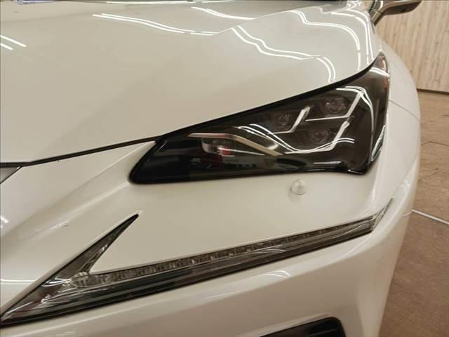 ���w�b�h���C�g