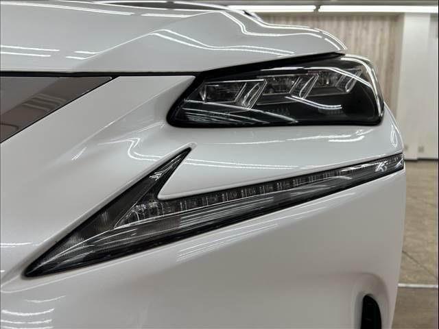 �����w�b�h���C�g