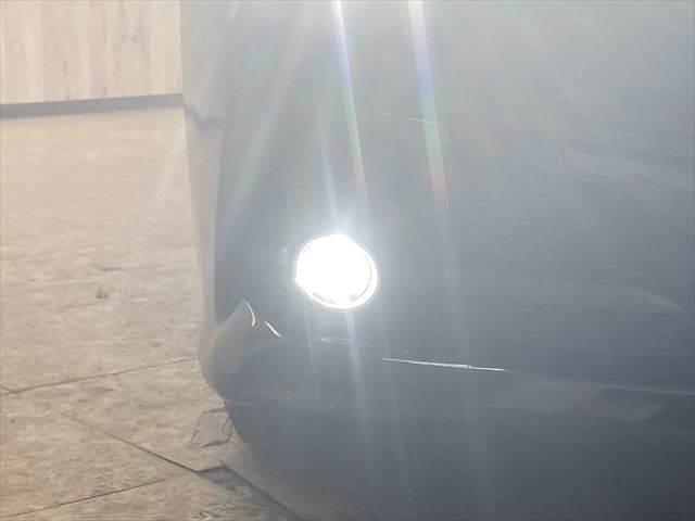 ���E�t�H�O�����v�_����