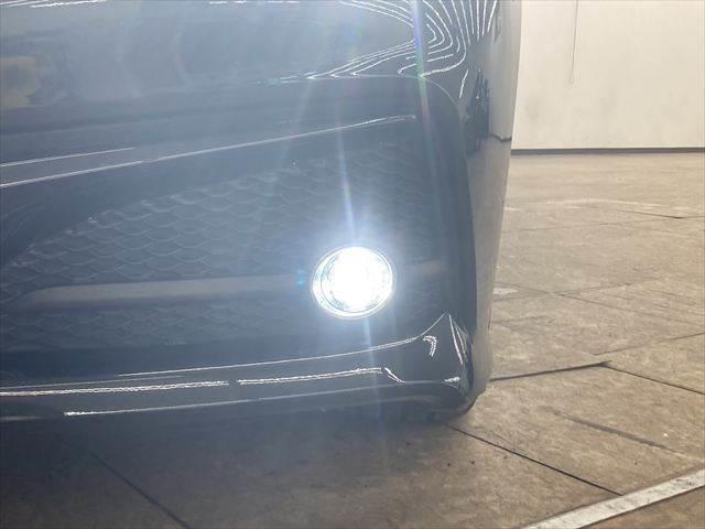 �����t�H�O�����v�_����