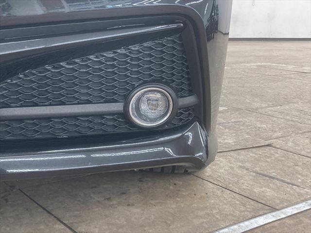 �����t�H�O�����v