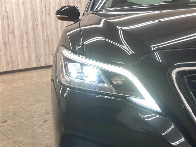 ���E�w�b�h���C�g�_����