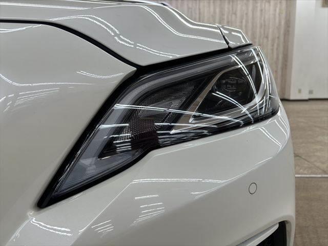 ���w�b�h���C�g