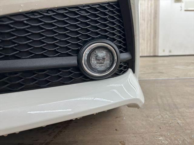 ���t�H�O�����v