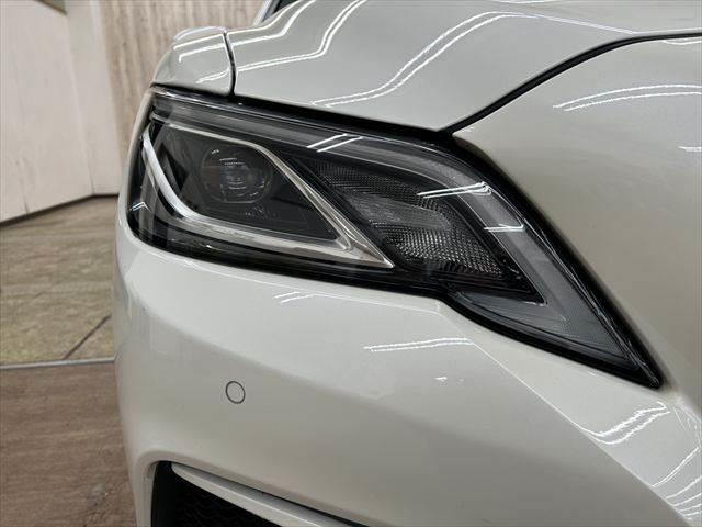 ���w�b�h���C�g