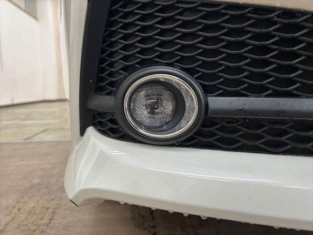 ���t�H�O�����v