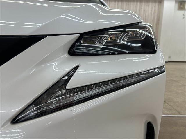 ���w�b�h���C�g