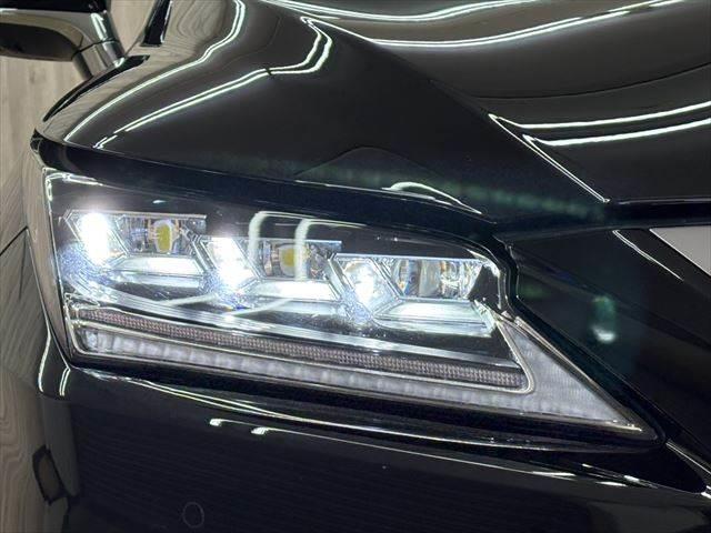 ���_�����w�b�h���C�g