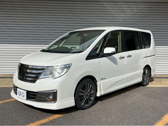 セレナ ライダパフォマンススペックブラックラインＺＺ　ＳＨＶ（5枚目）