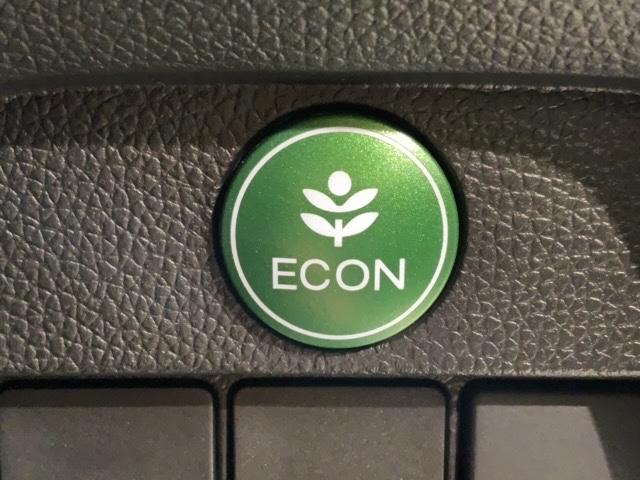 Ｎ－ＯＮＥ プレミアム　１年保証　ＴＶ　Ｒカメラ　音楽機器接続　ＨＩＤ　ＶＳＡ　アルミ　フォグ　ベンチシート　スマートキー　盗難防止装置　整備記録簿　ＡＡＣ　Ｗエアバッグ（12枚目）