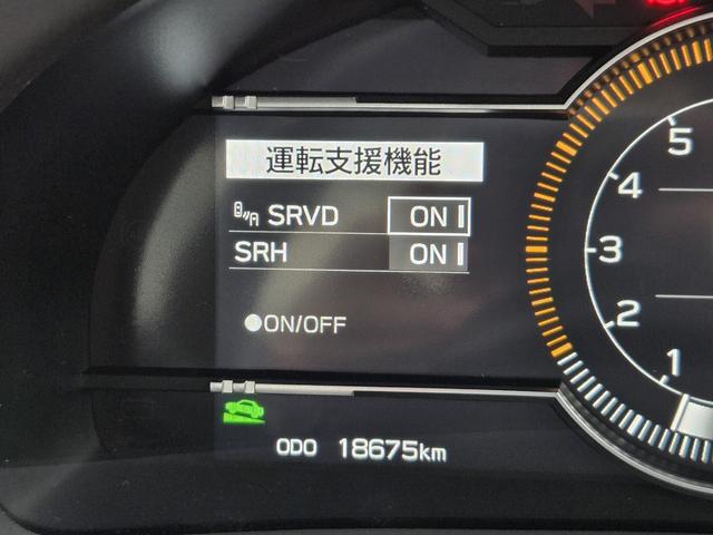 BRZ S ロッソモデロマフラー ブリッツ車高調 LEDライナー アルパインナビ バックカメラ フルセグTV ドラレコ前後 クルーズコントロール 前席シートヒーター ETC BSM 1オーナー 禁煙車(52枚目)