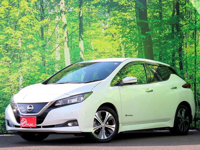 リーフ Ｇ　ワンオーナー　プロパイロット　アラウンドビューモニター　純正ドライブレコーダー　デジタルインナーミラー　ブラインドスポットモニター　エアマージェンシーブレーキ　ステアリングヒーター　ビルトインＥＴＣ（3枚目）