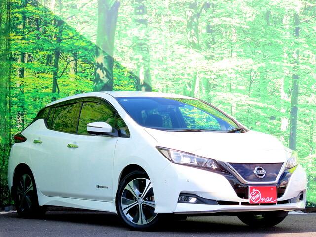 リーフ Ｇ　ワンオーナー　プロパイロット　アラウンドビューモニター　純正ドライブレコーダー　デジタルインナーミラー　ブラインドスポットモニター　エアマージェンシーブレーキ　ステアリングヒーター　ビルトインＥＴＣ（4枚目）