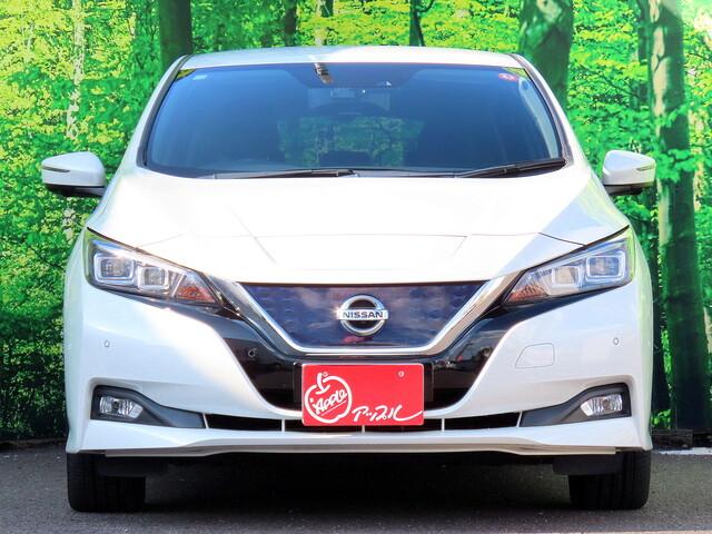 リーフ Ｇ　ワンオーナー　プロパイロット　アラウンドビューモニター　純正ドライブレコーダー　デジタルインナーミラー　ブラインドスポットモニター　エアマージェンシーブレーキ　ステアリングヒーター　ビルトインＥＴＣ（9枚目）