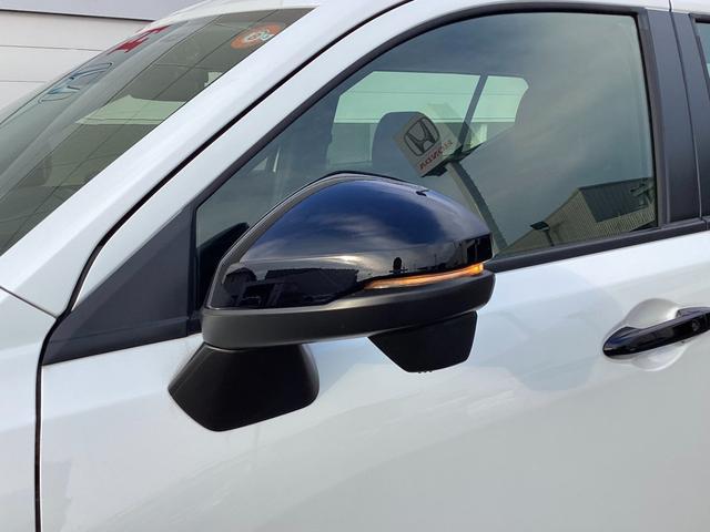 �u���b�N�X�^�C���̓h�A�~���[�J�o�[���u���b�N�ł���h�A�~���[�E�B���J�[�ɂȂ��Ă��܂��B