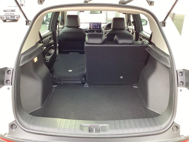 ���A�V�[�g�͂U�F�S�����œ|���܂��̂ŁA�ו��̗ʂ��Ԑl���ɍ��킹�ăA�����W�o���܂���