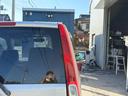 ご来店をご希望の際は在庫確認をお願い致します!フリーダイヤル【0078-6043-6742】
