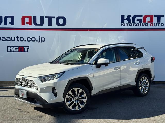 ＲＡＶ４ Ｇ　Ｚパッケージ　純正ナビ　フルセグＴＶ　Ｂカメラ　デジタルミラ　黒革シート＆ヒータ　ステアリングヒータ　ＢＳＭ　ＬＴＡ　レーダークルーズ　パワーバックドア　スマートキ　ＬＥＤヘッド　純正１９インチＡＷ　パワーシート（9枚目）