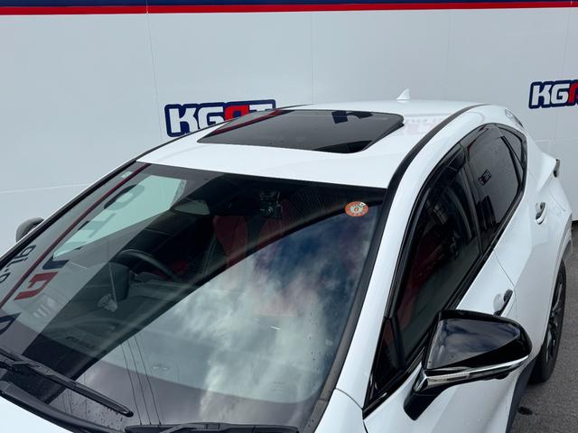 �S�����S�ۏؕt���E�S���[�Ԃn�j�I�����Ȃ��Œ��P�Q�O�񃍁[���n�j�I