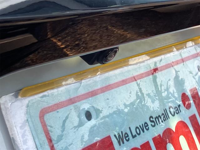 ｅＫスペース Ｍ　届け出済み未使用車　バックカメラ　両側スライドドア　クリアランスソナー　レーンアシスト　衝突被害軽減システム　オートライト　ＬＥＤヘッドランプ　キーレスエントリー　アイドリングストップ　電動格納ミラー（34枚目）