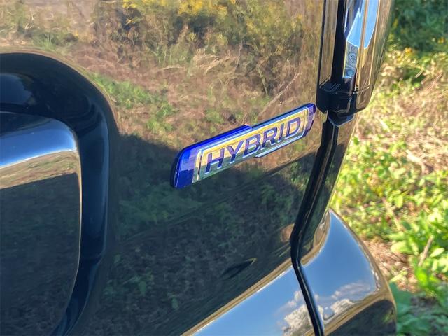 スペーシアカスタム ハイブリッドＧＳ　両側スライド・片側電動　クリアランスソナー　オートクルーズコントロール　レーンアシスト　衝突被害軽減システム　オートライト　ＬＥＤヘッドランプ　スマートキー　アイドリングストップ　電動格納ミラー（35枚目）